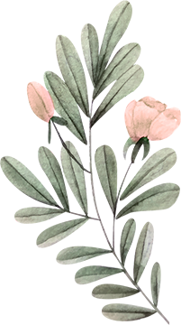 Shape Decorative