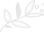 Decorative Flourish
